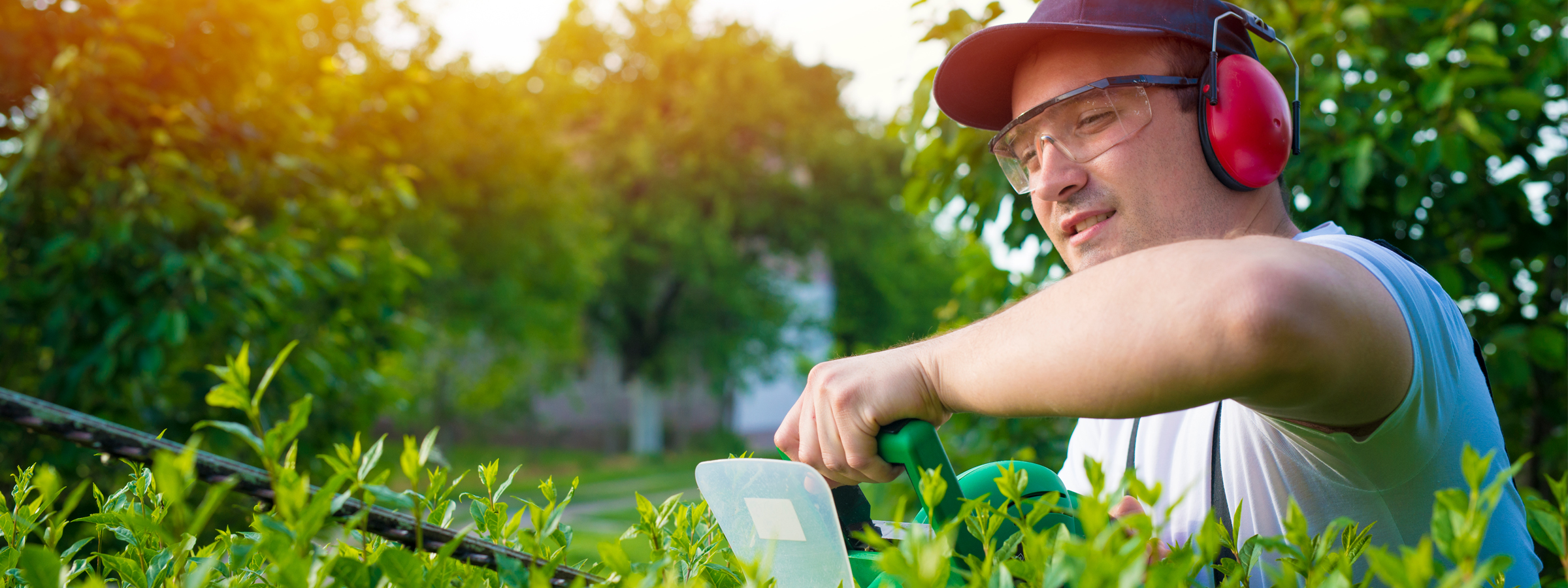 Mann mit Schutzbrile und Hörschutz schneidet eine Gartenhecke mit der elektrischen Heckenschere